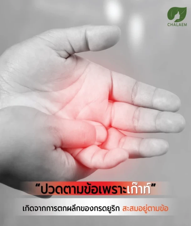 ทิพย์เกสร,Tipgaysorn,แฉล้ม,CHALAEM,ออร์แกนิค,Organic,ผลิตภัณฑ์,สมุนไพร,ยาสมุนไพร,บทความสุขภาพ