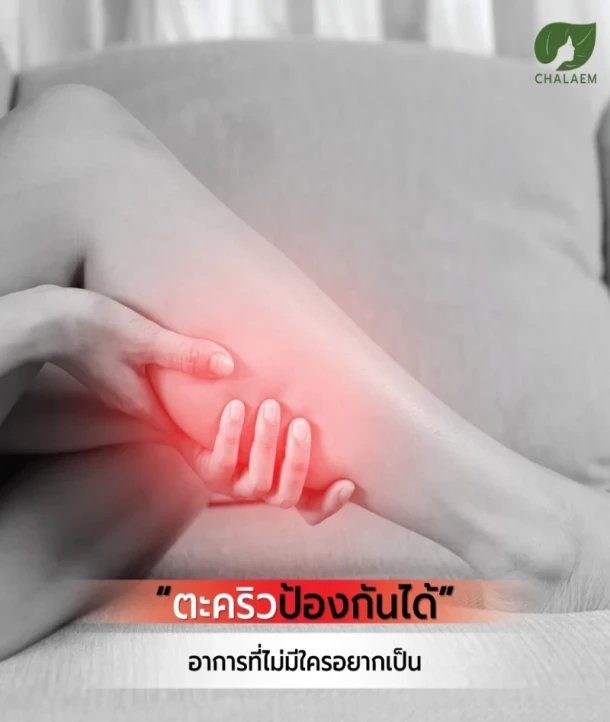 ทิพย์เกสร,Tipgaysorn,แฉล้ม,CHALAEM,ออร์แกนิค,Organic,ผลิตภัณฑ์,สมุนไพร,ยาสมุนไพร,บทความสุขภาพ